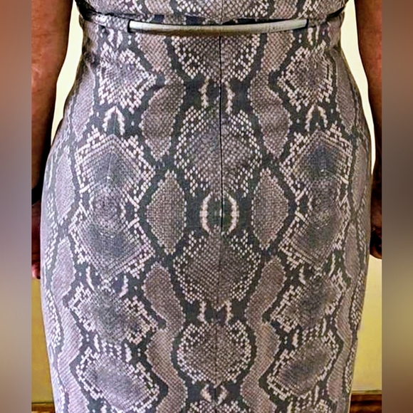 Calvin Klein, NWT, Gray, Snakeskin Print, Belted Sheath Dress, Size 12 - Picture 13 of 14
